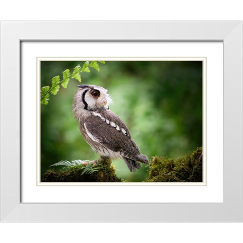 180Ad White Modern Wood Framed Art Print with Double Matting by Groth, Martin