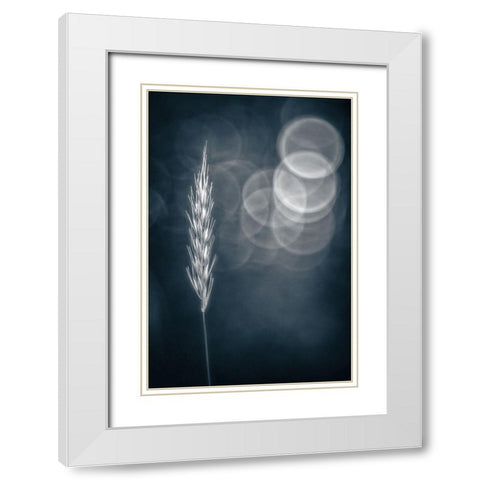 Lines a Circles White Modern Wood Framed Art Print with Double Matting by Eisenmann, Ulrike