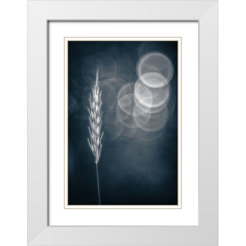 Lines a Circles White Modern Wood Framed Art Print with Double Matting by Eisenmann, Ulrike