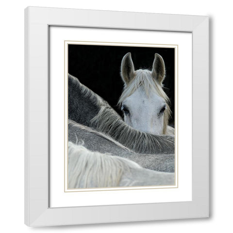 Look White Modern Wood Framed Art Print with Double Matting by Malovrh, Milan