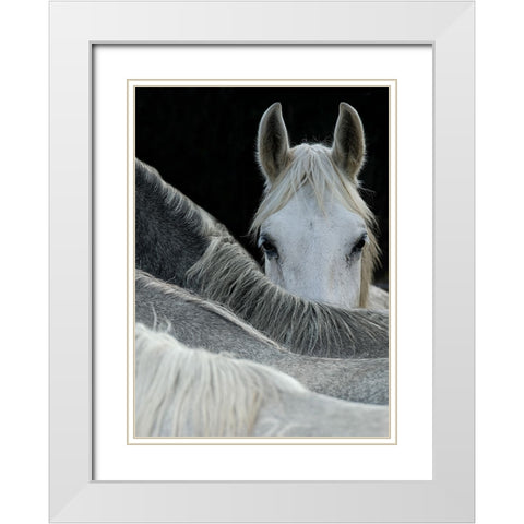 Look White Modern Wood Framed Art Print with Double Matting by Malovrh, Milan