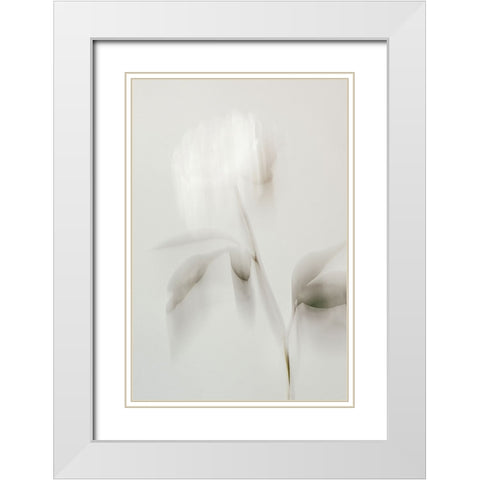 Peony 06 White Modern Wood Framed Art Print with Double Matting by 1x Studio III
