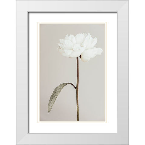 Peony 07 White Modern Wood Framed Art Print with Double Matting by 1X Studio III