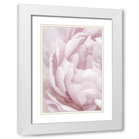 Peony 15 White Modern Wood Framed Art Print with Double Matting by 1x Studio III