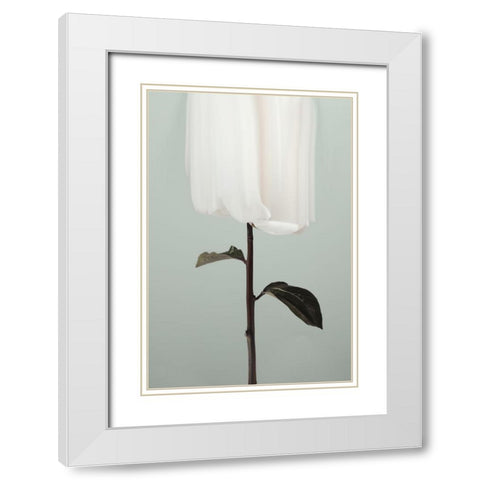 Peony 17 White Modern Wood Framed Art Print with Double Matting by 1x Studio III