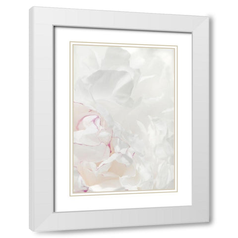 Peony 21 White Modern Wood Framed Art Print with Double Matting by 1x Studio III