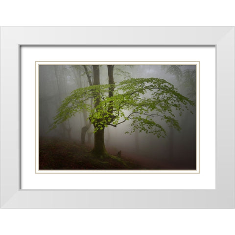 Green Leaves. White Modern Wood Framed Art Print with Double Matting by Uranga, Pedro