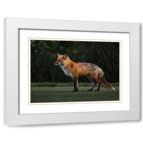 You Caught My Eyes White Modern Wood Framed Art Print with Double Matting by Tseng, Judy