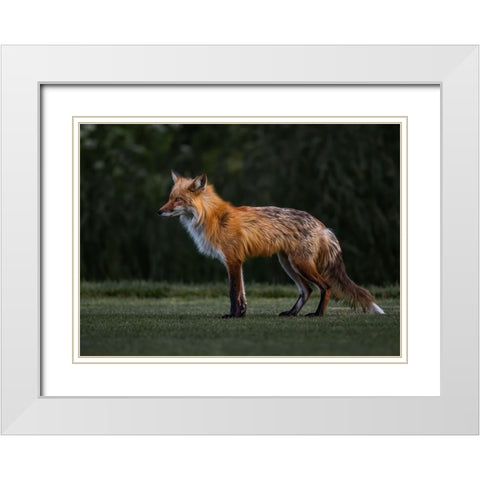 You Caught My Eyes White Modern Wood Framed Art Print with Double Matting by Tseng, Judy