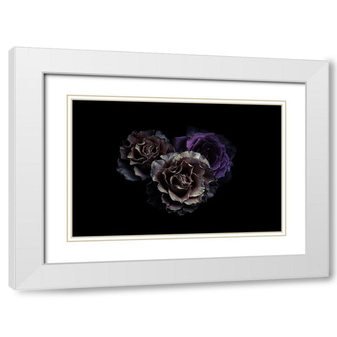 Roses White Modern Wood Framed Art Print with Double Matting by Julie, Angel
