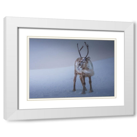 Against The Elements White Modern Wood Framed Art Print with Double Matting by Venier, Giovanni