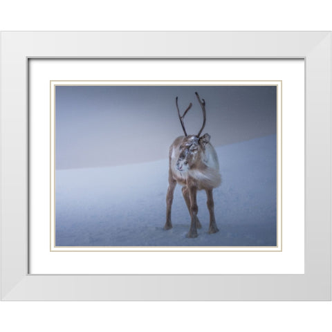 Against The Elements White Modern Wood Framed Art Print with Double Matting by Venier, Giovanni