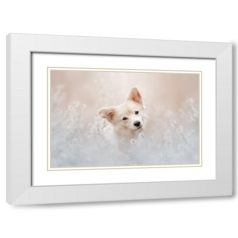 Beige Camouflage White Modern Wood Framed Art Print with Double Matting by Shandor, Ve