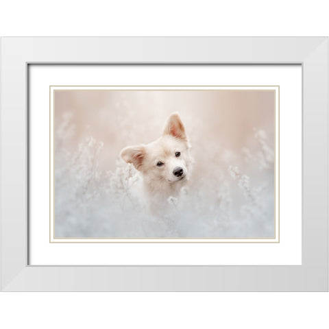 Beige Camouflage White Modern Wood Framed Art Print with Double Matting by Shandor, Ve