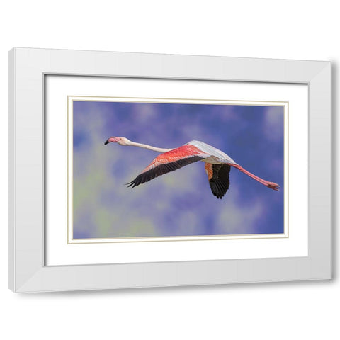 Freedom White Modern Wood Framed Art Print with Double Matting by Eman Elghazzawy, Dr.