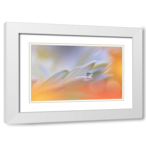 Little Wonders...II White Modern Wood Framed Art Print with Double Matting by Nan, Juliana