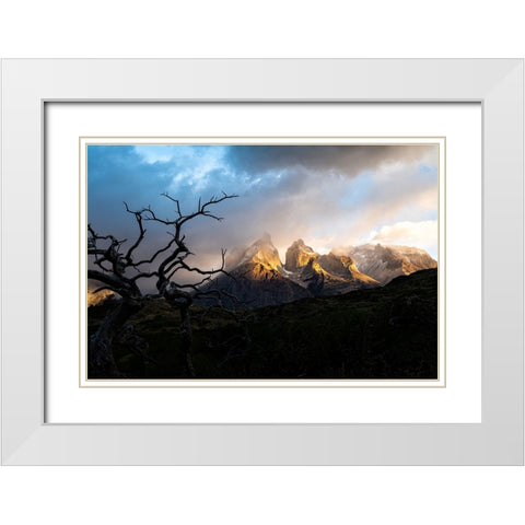 Tentacles White Modern Wood Framed Art Print with Double Matting by Groleau, Michel