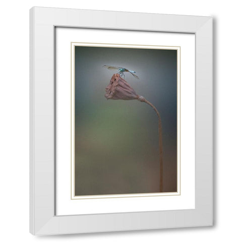 Summer White Modern Wood Framed Art Print with Double Matting by Lu, Linda