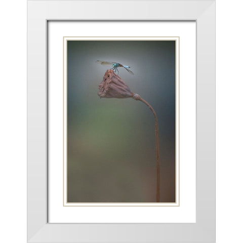 Summer White Modern Wood Framed Art Print with Double Matting by Lu, Linda