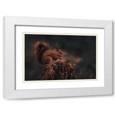 Dark Forest White Modern Wood Framed Art Print with Double Matting by J Ter, Gert