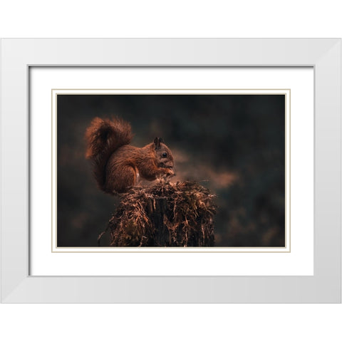 Dark Forest White Modern Wood Framed Art Print with Double Matting by J Ter, Gert