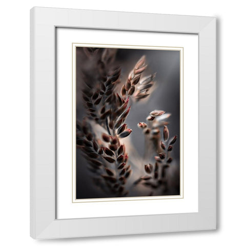 Bentgrass White Modern Wood Framed Art Print with Double Matting by Zvinakeviciute, Kristina