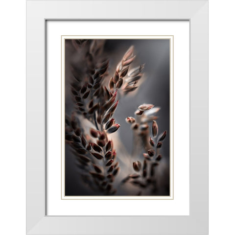 Bentgrass White Modern Wood Framed Art Print with Double Matting by Zvinakeviciute, Kristina