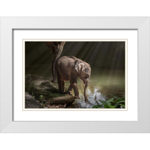 Braveelephant White Modern Wood Framed Art Print with Double Matting by Egger, Marcel