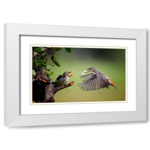 I Am Coming White Modern Wood Framed Art Print with Double Matting by Muliani Hartojo, Angela
