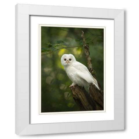 Fairy White Modern Wood Framed Art Print with Double Matting by Xu, Tony