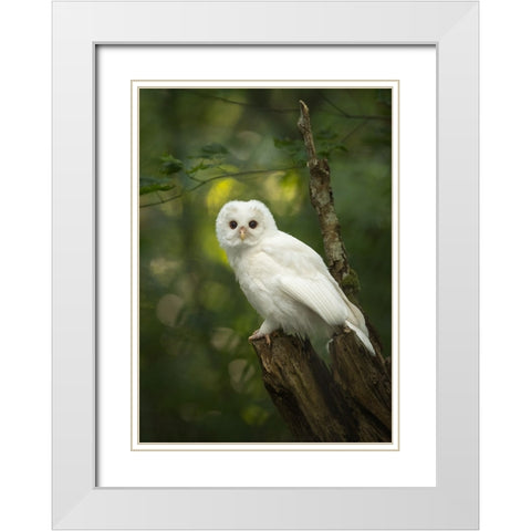Fairy White Modern Wood Framed Art Print with Double Matting by Xu, Tony
