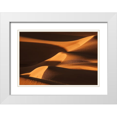 The Sand Dune Ladder White Modern Wood Framed Art Print with Double Matting by Qiu, Jenny