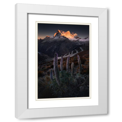 Lupin Towers White Modern Wood Framed Art Print with Double Matting by Nienartowicz, Karol