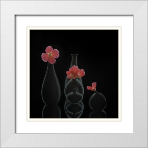 Still Life 46 White Modern Wood Framed Art Print with Double Matting by Sheng, Alice