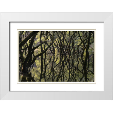 Sunken Forest White Modern Wood Framed Art Print with Double Matting by Irie, Ryohei