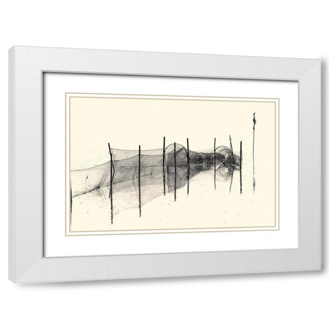 Fish Trap Bw White Modern Wood Framed Art Print with Double Matting by Balzer, Bodo