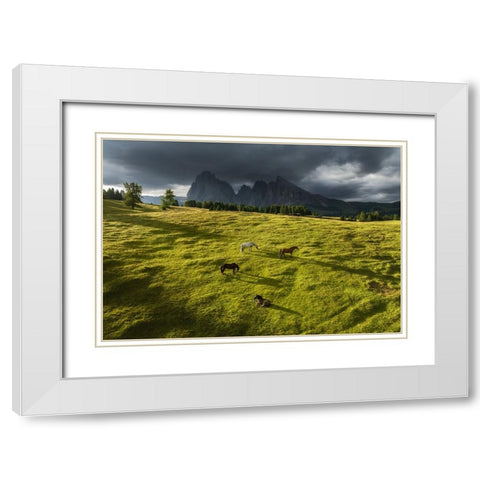 Horses in the Dolomites White Modern Wood Framed Art Print with Double Matting by Krivec, Ales