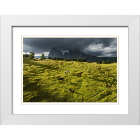 Horses in the Dolomites White Modern Wood Framed Art Print with Double Matting by Krivec, Ales
