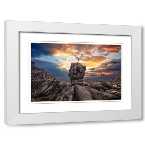 Pine Tree On The Rock White Modern Wood Framed Art Print with Double Matting by Seo, Tiger