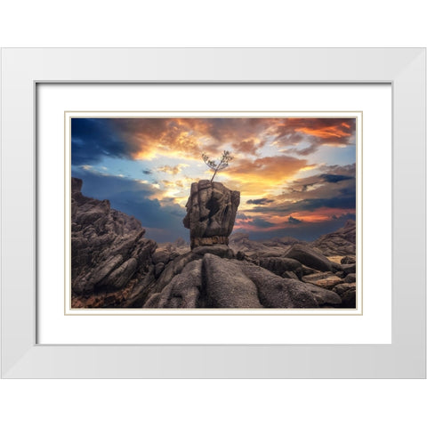 Pine Tree On The Rock White Modern Wood Framed Art Print with Double Matting by Seo, Tiger