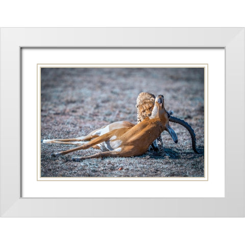 Hunt White Modern Wood Framed Art Print with Double Matting by Tianhuayu