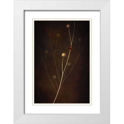 Summer White Modern Wood Framed Art Print with Double Matting by Kiral, Cicek