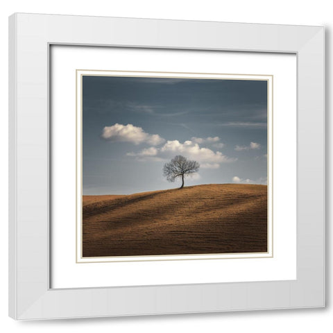 Better Alone White Modern Wood Framed Art Print with Double Matting by De Franzoni, Thomas