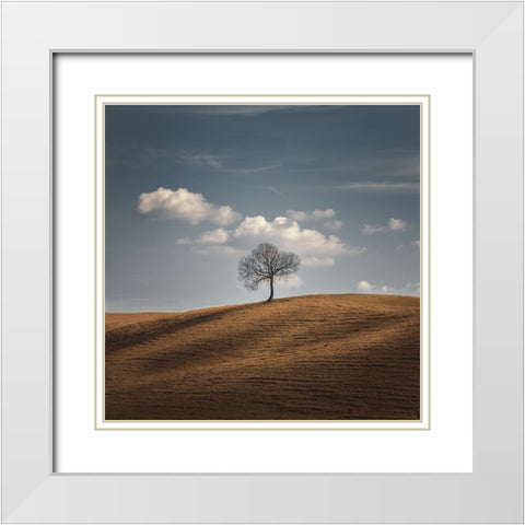 Better Alone White Modern Wood Framed Art Print with Double Matting by De Franzoni, Thomas