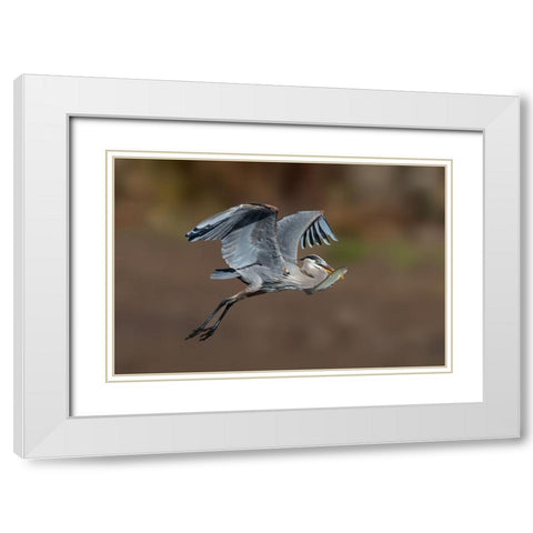 Fresh Catch White Modern Wood Framed Art Print with Double Matting by Lu, Bill