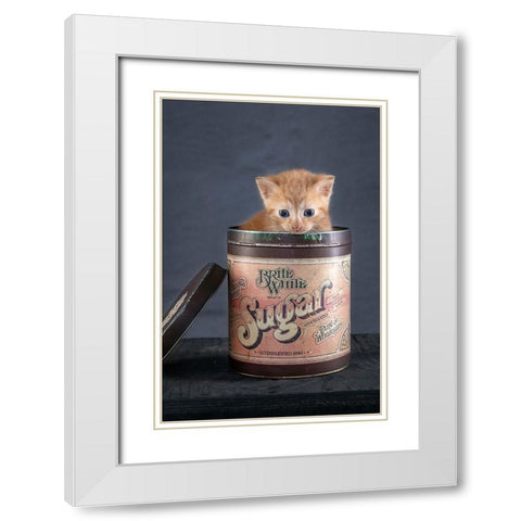 Chip White Modern Wood Framed Art Print with Double Matting by de Jong, Arendina