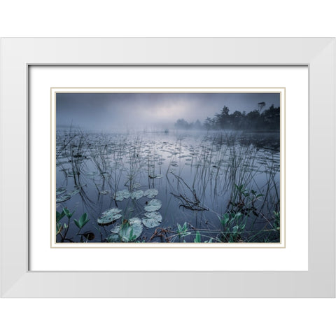 Dawn Light White Modern Wood Framed Art Print with Double Matting by Pettersson, Benny