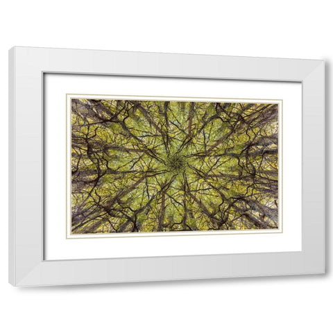 neural connection White Modern Wood Framed Art Print with Double Matting by Badiola, Aitor
