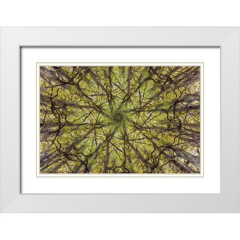 neural connection White Modern Wood Framed Art Print with Double Matting by Badiola, Aitor