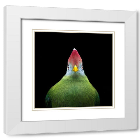 Untitled White Modern Wood Framed Art Print with Double Matting by Pandya, Hardik